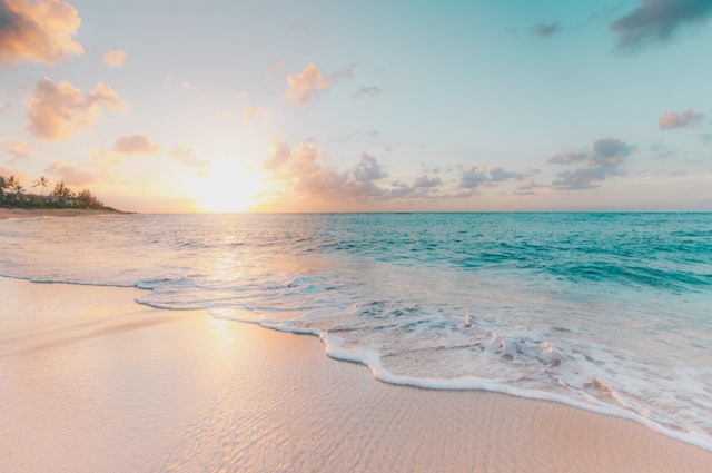 Paradise Days — Your slice of paradise is one click away